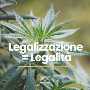 Sardine e vecchi pupazzi: corsa al trono della nuova sinistra