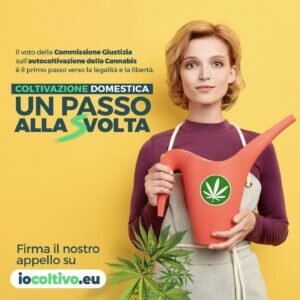 Sardine e vecchi pupazzi: corsa al trono della nuova sinistra