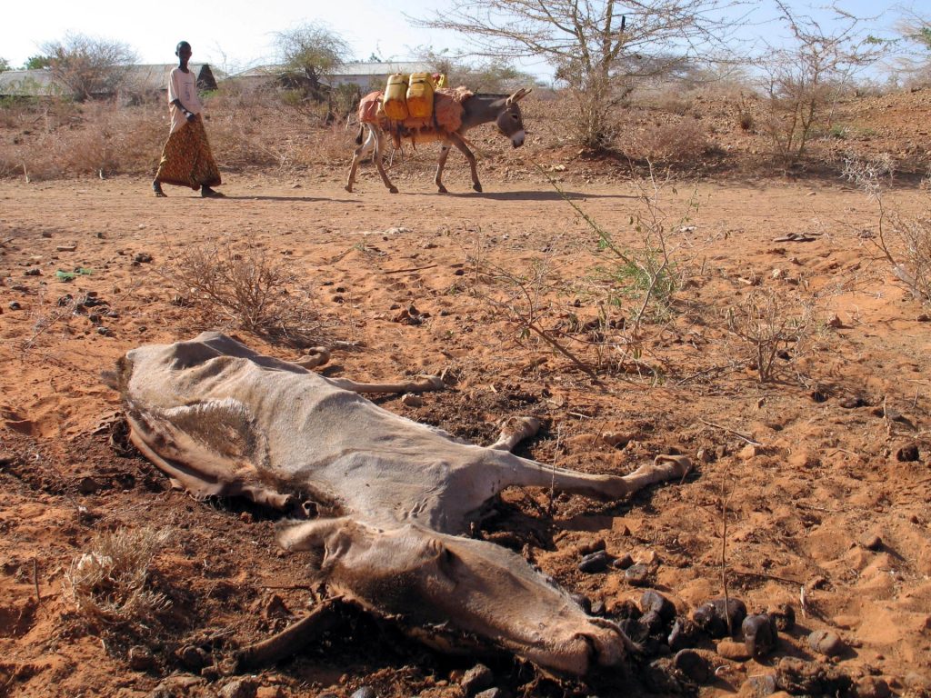 L’Africa si trova ad affrontare un “punto cieco del rischio climatico” a causa della mancanza di radar meteorologici