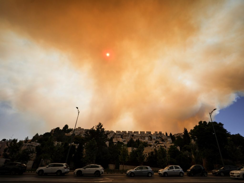 Lotte intrecciate: il paradosso verde incontra il paradosso palestinese
