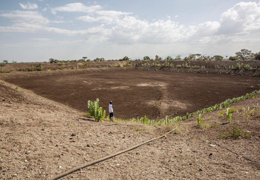 Adattarsi di fronte al cambiamento climatico nelle zone rurali del Kenya |  Crisi climatica