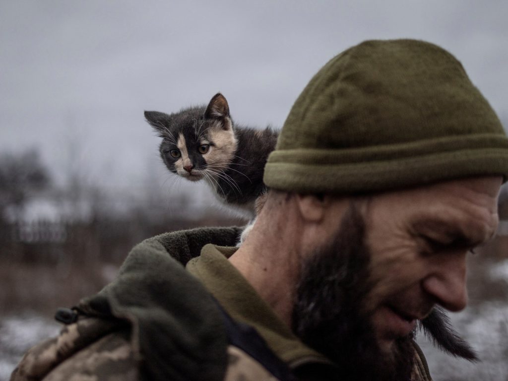 Guerra Russia-Ucraina: elenco degli eventi chiave, giorno 671