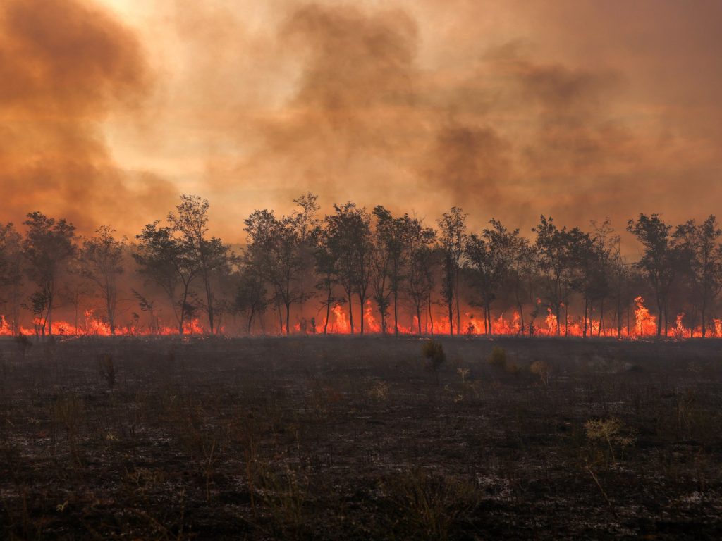 Il 2023 batte il record di anno più caldo del mondo: lo afferma l’Agenzia europea per il clima