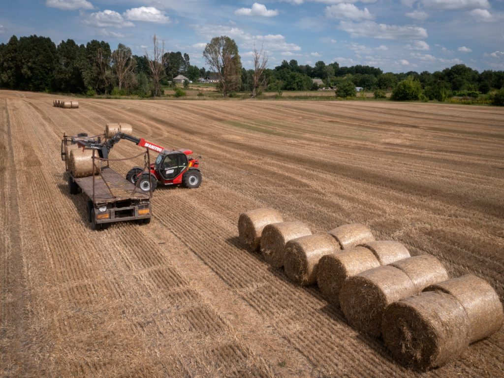 Il ministro dell'Agricoltura ucraino è stato rilasciato su cauzione per un caso di corruzione da 7 milioni di dollari