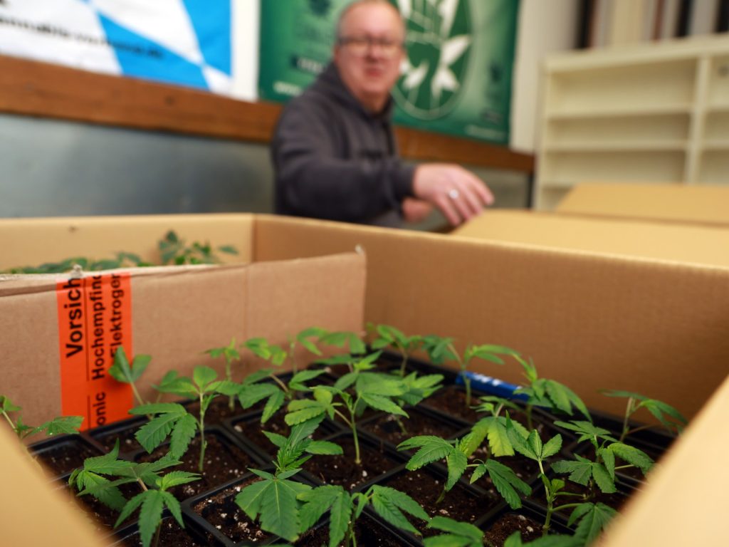 Perché alcuni paesi stanno depenalizzando le droghe?