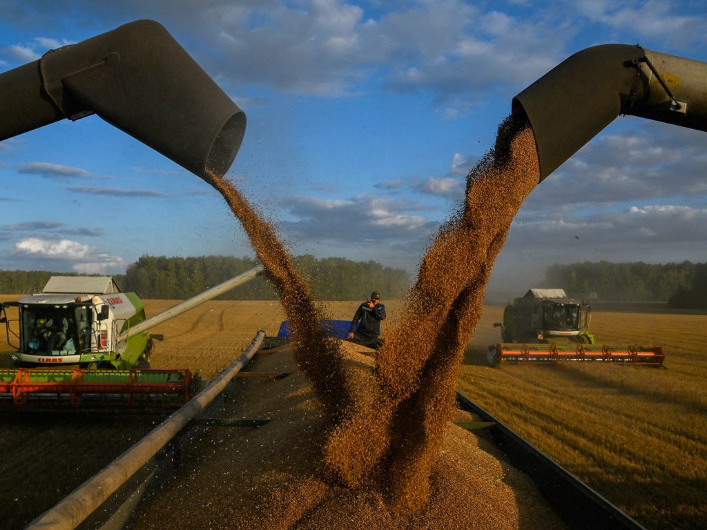 L'UE concorda le tariffe sulle importazioni di grano dalla Russia e dalla Bielorussia a partire da luglio