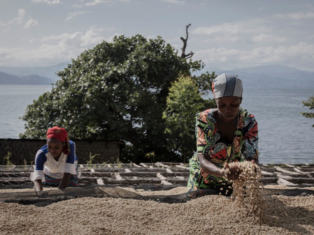 Nella Repubblica Democratica del Congo, le donne coltivatrici di caffè lottano con un futuro incerto
