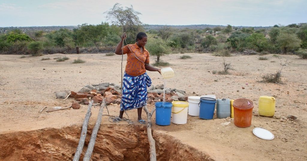 I pasti si esauriscono mentre la siccità in Zimbabwe si fa sentire | Notizie sulla siccità