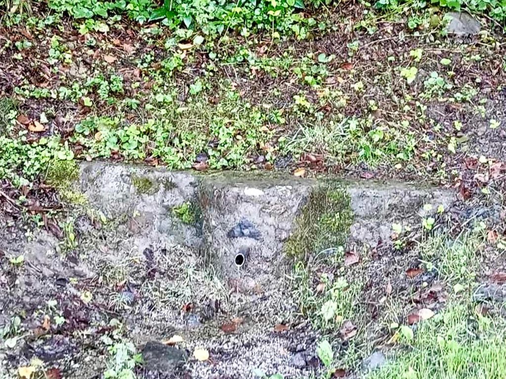 Cosa c'è in un nome? Resistenza al genocidio