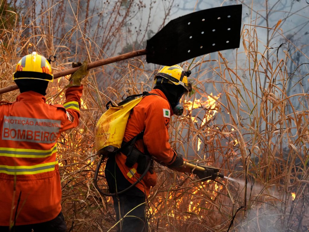 I vigili del fuoco combattono gli incendi boschivi che soffocano la capitale brasiliana | Notizie sulla siccità