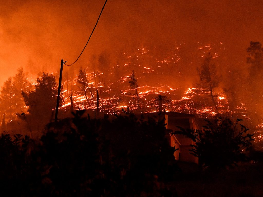 La perdita globale di foreste supera gli obiettivi fissati per il 2023, avverte il rapporto