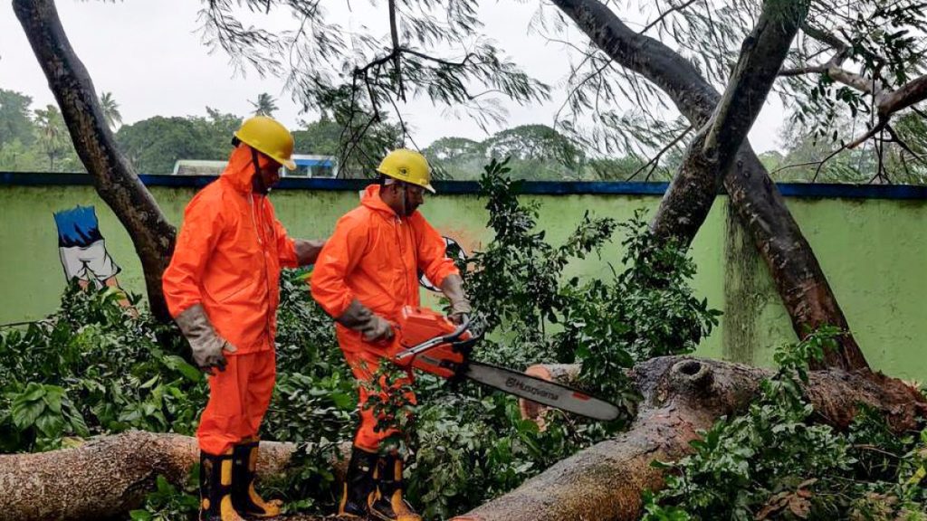 Rischio alluvioni mentre il ciclone Dana colpisce l’India, sradicando linee elettriche e alberi