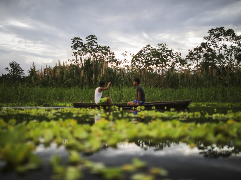 Perché una foresta dell'Ecuador chiede i diritti su una canzone?