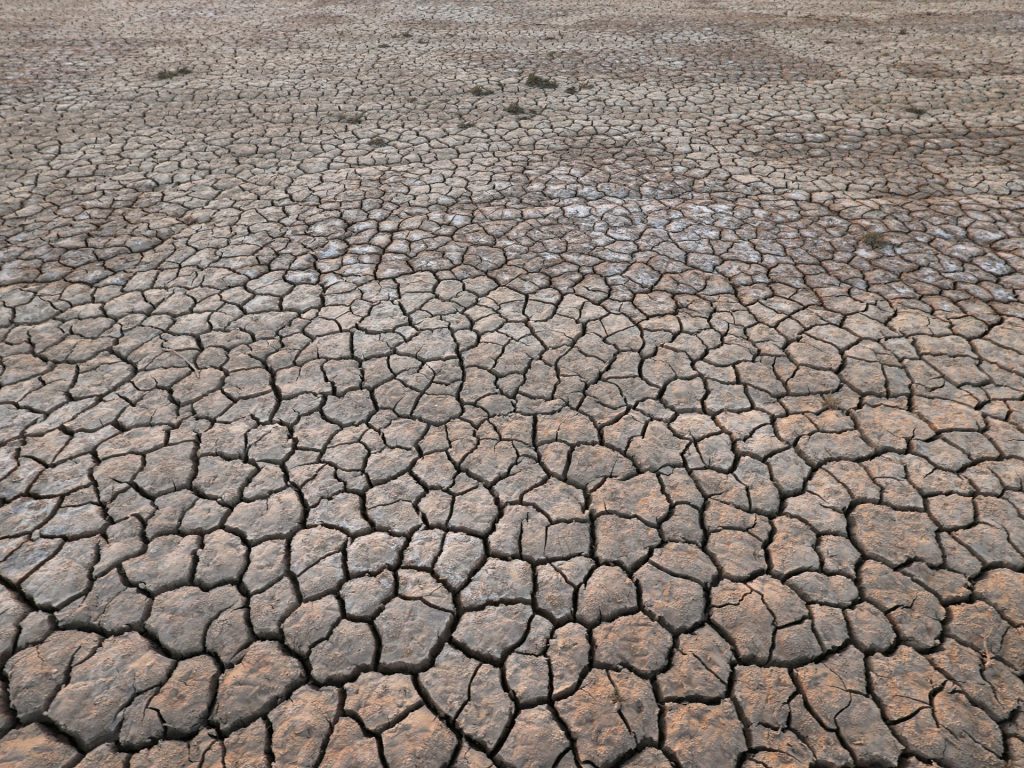 Il 2024 sarà il primo a superare il limite di riscaldamento di 1,5°C: l’Agenzia europea per il clima