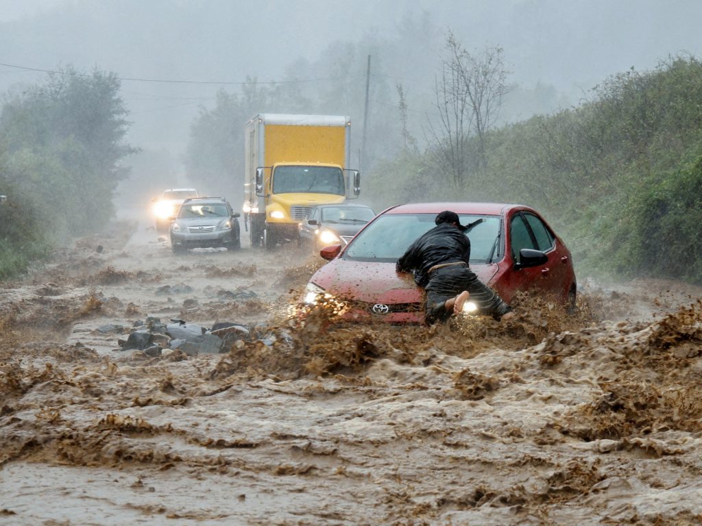 Siccità, inondazioni, incendi: i disastri naturali del 2024 in immagini | Notizie sulla crisi climatica