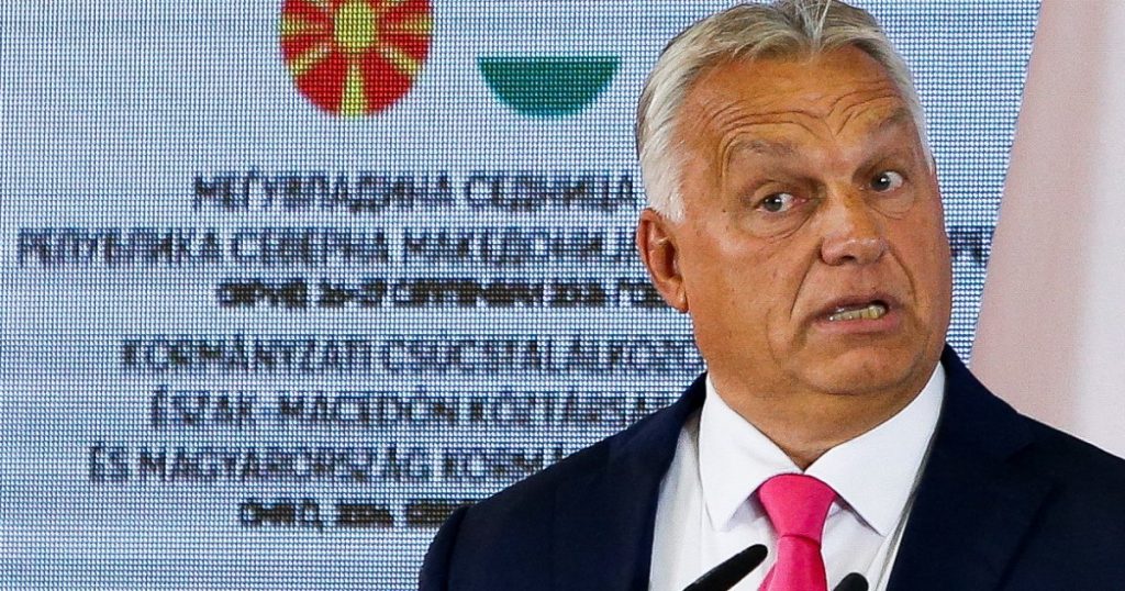 Zelenskyj critica Orban per aver chiamato il russo Putin per discutere dell'Ucraina