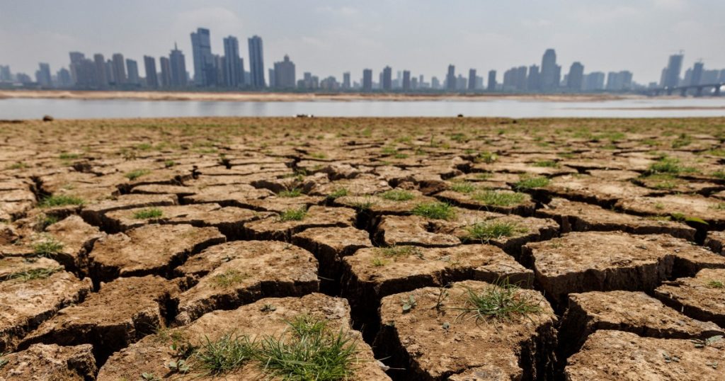 L’agenzia meteorologica afferma che la Cina ha vissuto l’anno più caldo mai registrato nel 2024