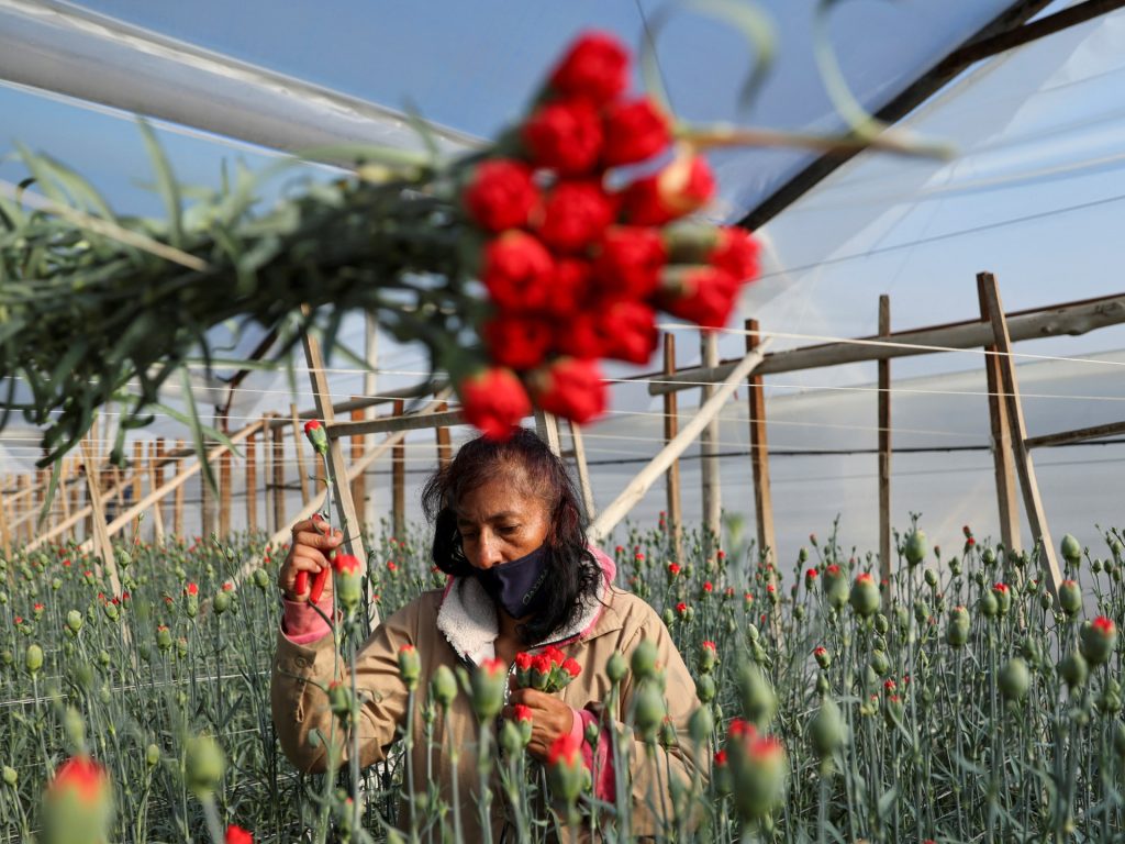 Come Trump ha costretto la Colombia ad accettare i deportati minacciando la guerra tariffaria degli Stati Uniti