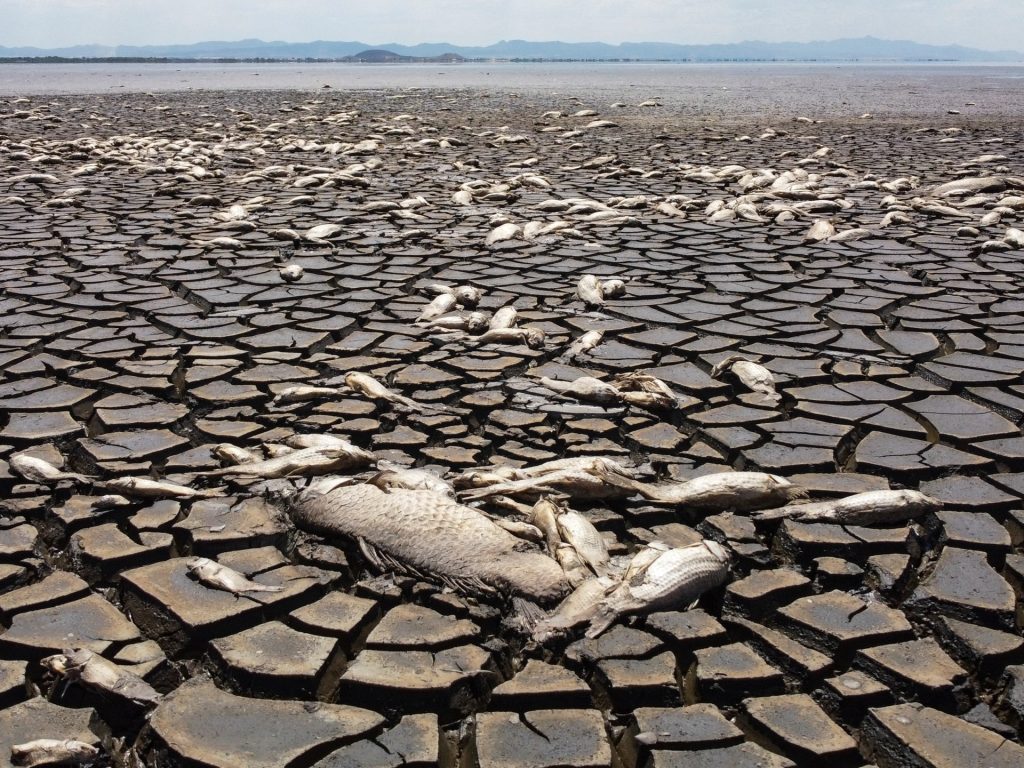 Nel 2024 la Terra registra l’anno più caldo di sempre e supera la soglia chiave di 1,5°C