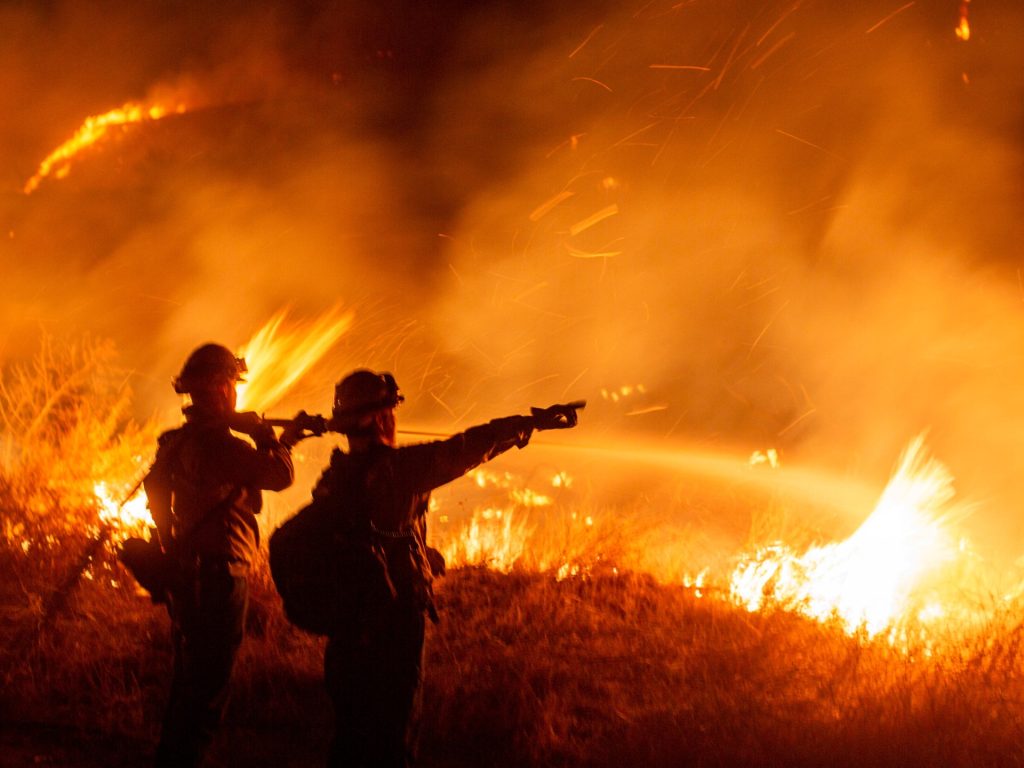 I licenziamenti di massa di Trump causano incertezza tra la forza lavoro federale antincendio | Notizie di Donald Trump
