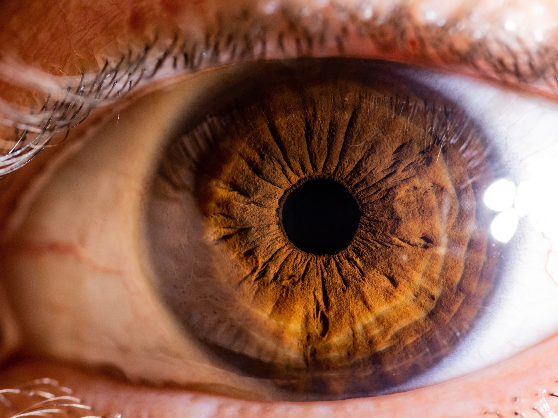 Gli scienziati hanno scoperto un nuovo colore chiamato "Olo"?