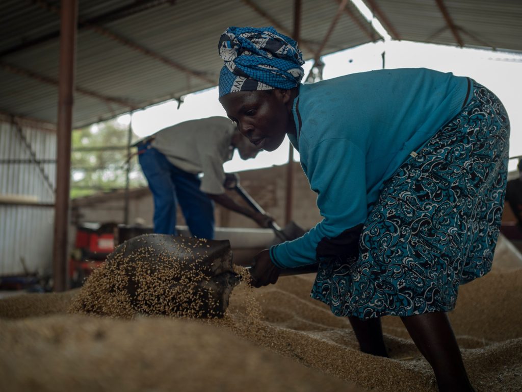 Riparazioni inverse: la trappola perfetta dello Zimbabwe, l'incombente pericolo del Sudafrica