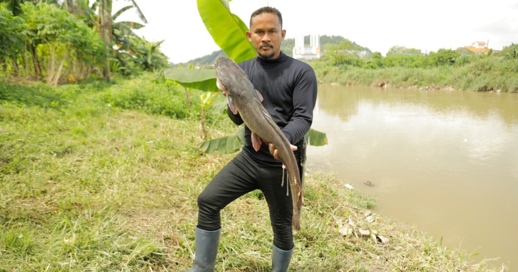 Le specie invasive dei "cacciatori di pesci" della Malesia, una cattura alla volta