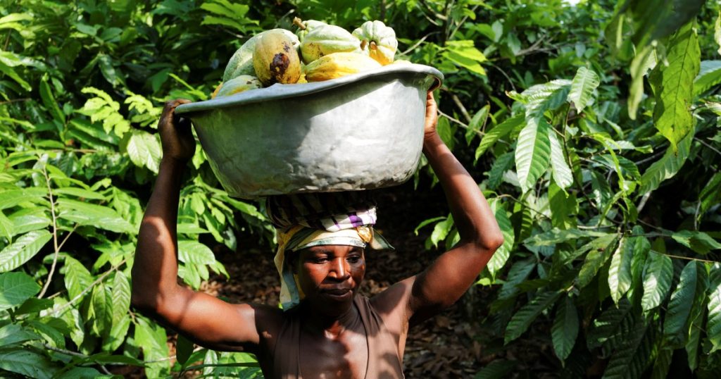 La crisi climatica che causa picchi di prezzo alimentare in tutto il mondo, dicono gli scienziati