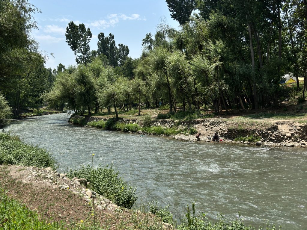 Le lontre individuate nelle acque del Kashmir e i residenti sono entusiasti e diffidenti