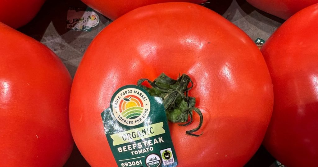 Trump schiaffeggia la tariffa del 17 % sui pomodori dal Messico