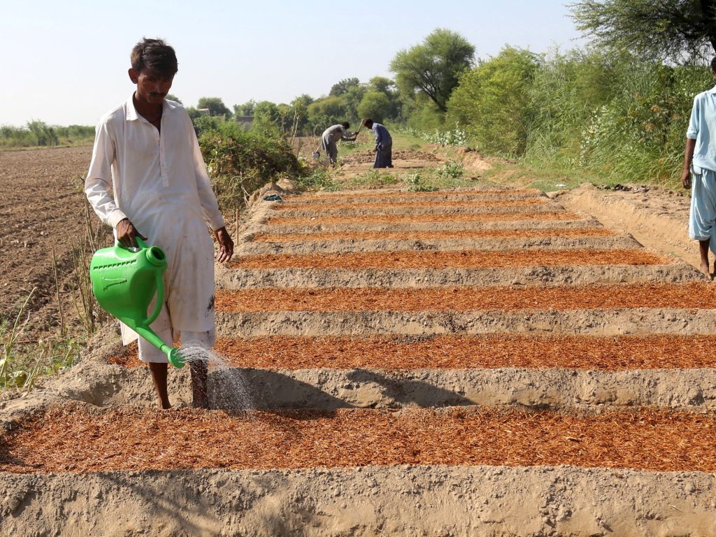 Gli agricoltori del Pakistan combattono inondazioni, debito e crisi guidata dal clima