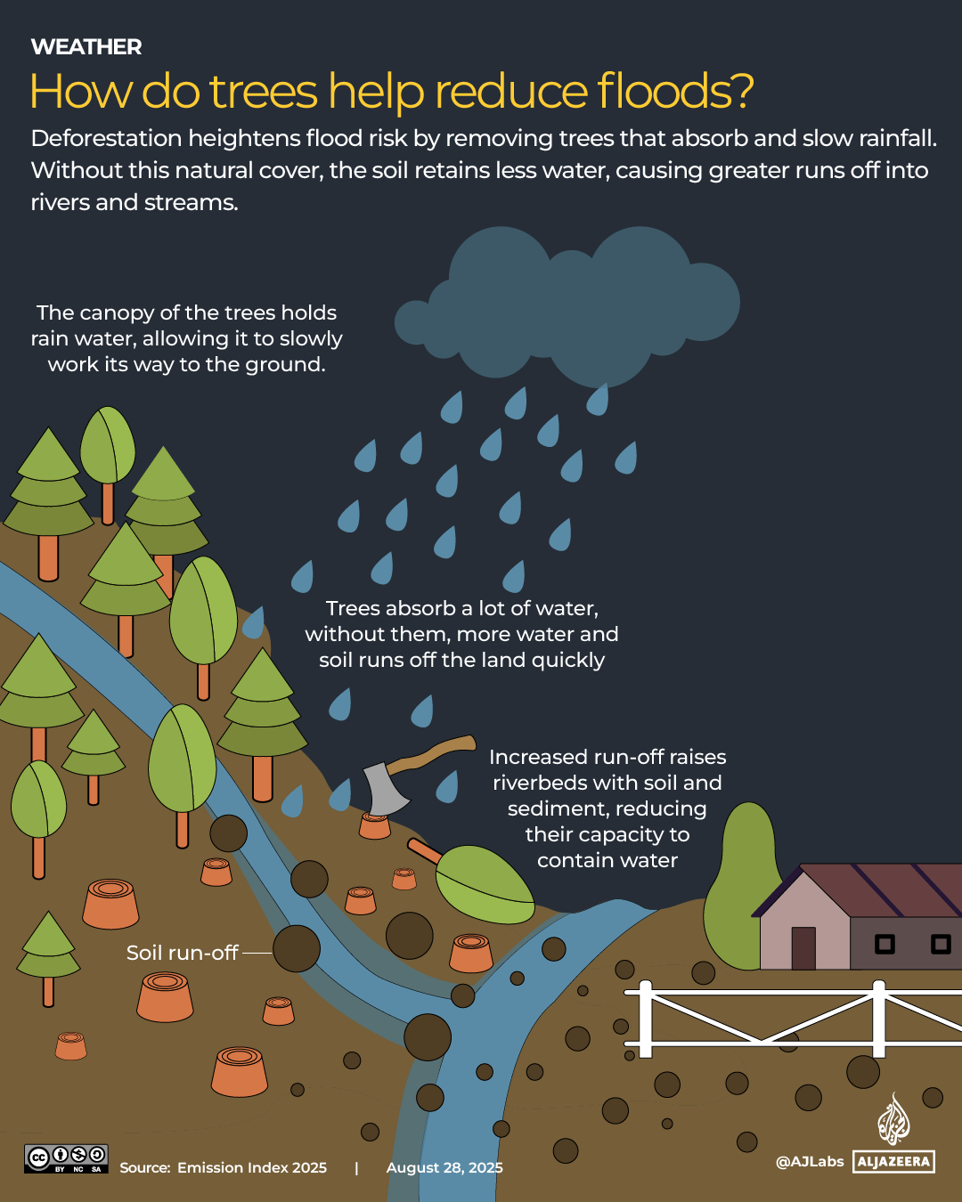 Interactive-pakistan_how_do_trees_help