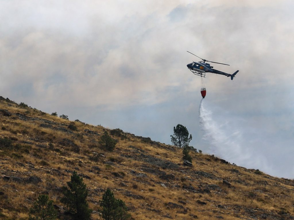 "Fiamme che hanno consumato le colline": Portogallo, Rel della Spagna da incendi