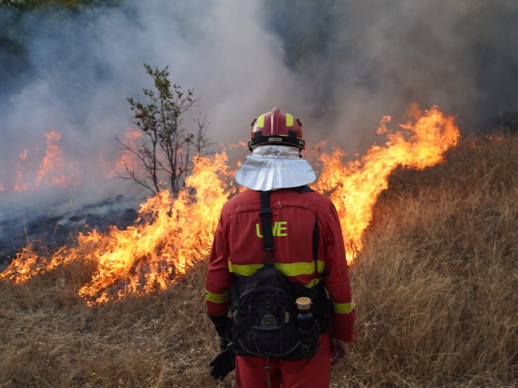 Gli incendi mediterranei non sono un incidente