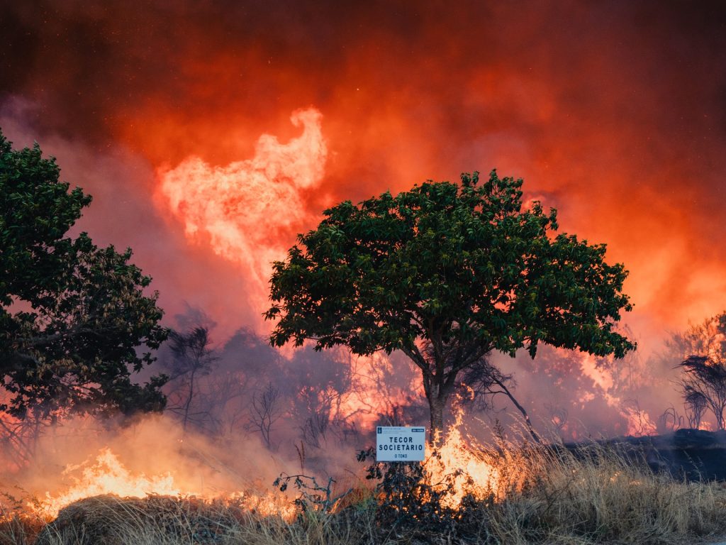 Gli incendi rabbia attraverso la Spagna e il Portogallo come area record di terra bruciati | Notizie climatiche