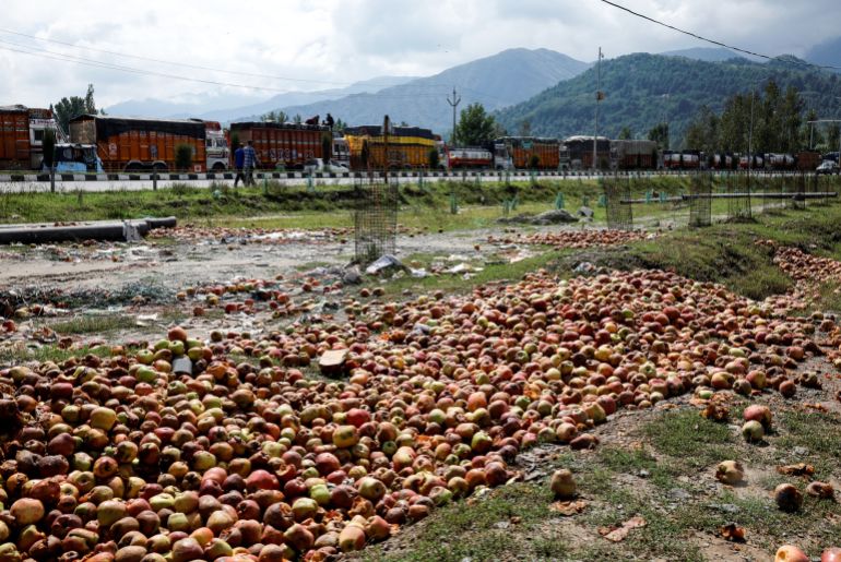 Le mele marci si trovano a terra vicino ai camion bloccati lungo la Jammu-Srinagar National Highway