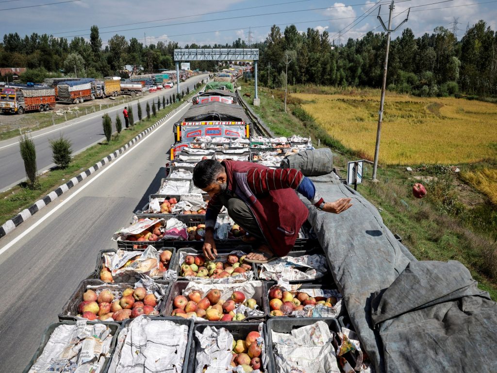 'Gone to Waste': i coltivatori del Kashmir guardano le mele marcire mentre l'autostrada chiave è bloccata