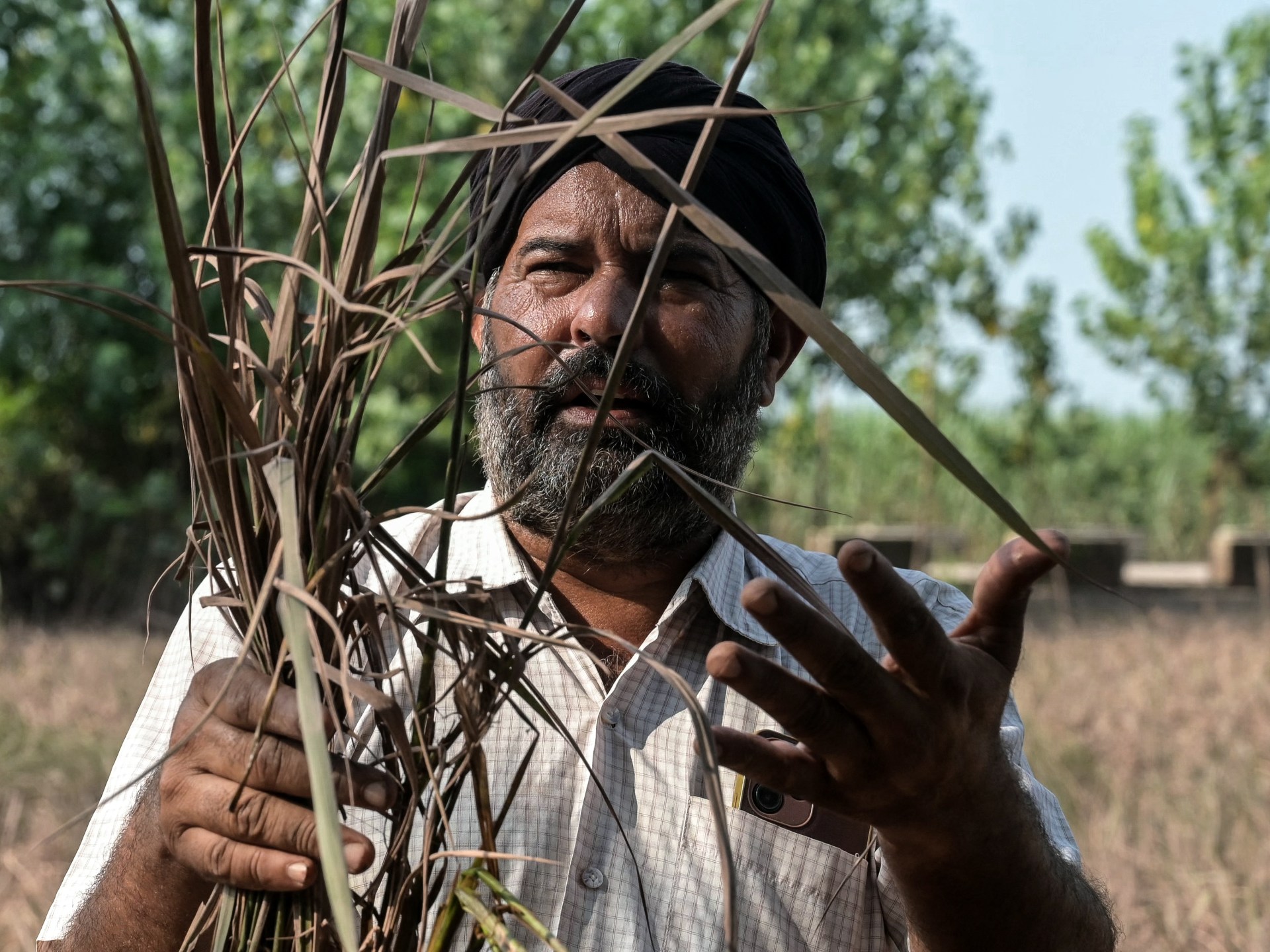 Le inondazioni devastano il cestino del pane dell'India del Punjab | Notizie inondate