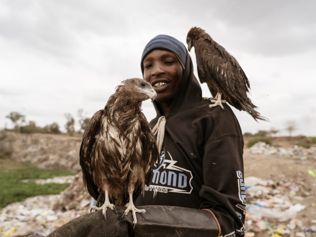 "Birdman" di Nairobi: salvare i rapaci per le strade della capitale del Kenya