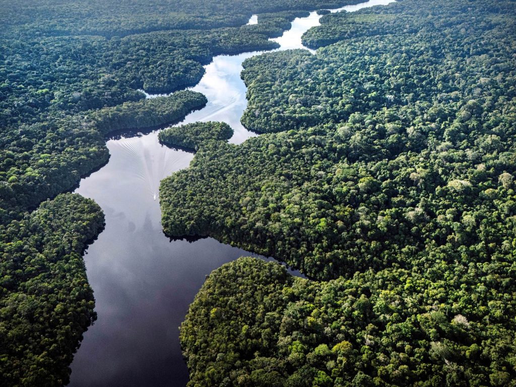 La tua carne è collegata alla deforestazione dell’Amazzonia? Un rapporto evidenzia le lacune