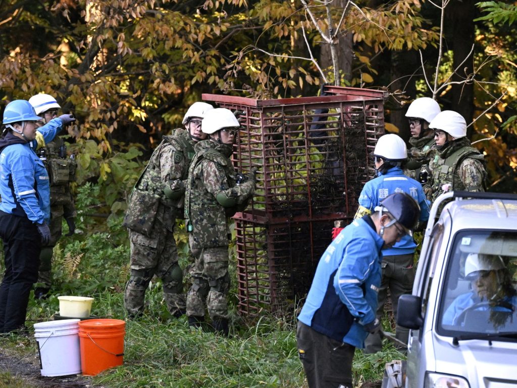 Cosa c'è dietro l'aumento degli attacchi di orsi in Giappone?