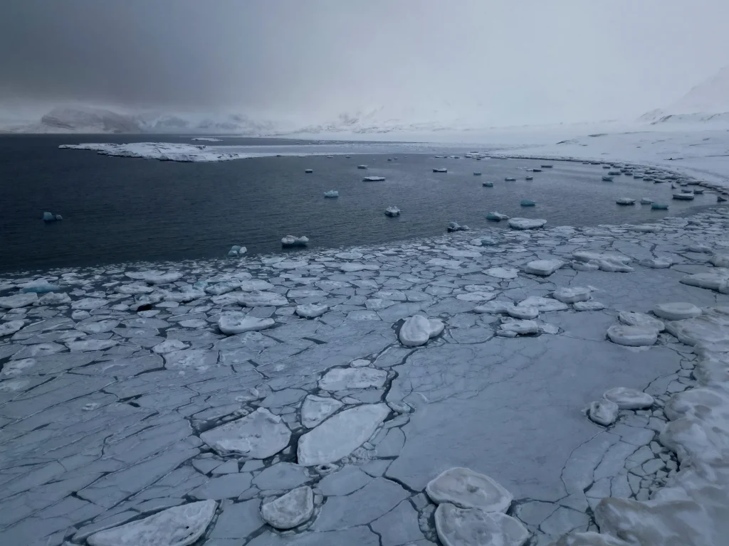 L’Artico registra l’anno più caldo dal 1900 mentre la crisi climatica continua