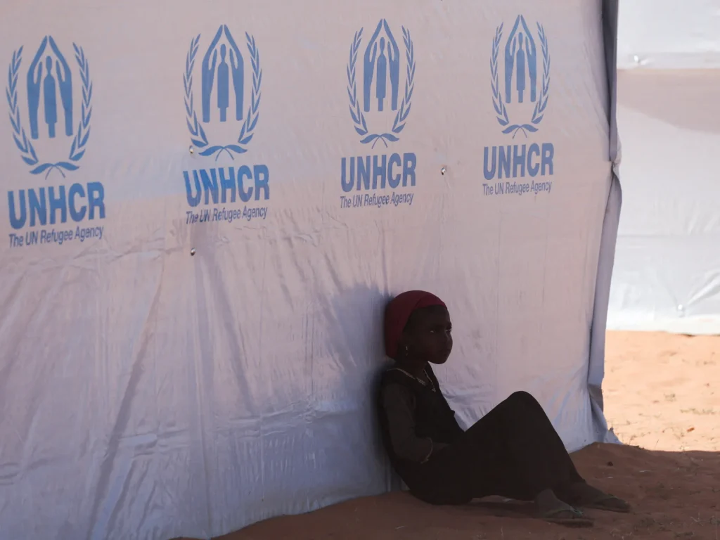 La spinta della Svezia affinché un ex amministratore delegato dell'IKEA guidi l'UNHCR segnala un nuovo ordine sui rifugiati