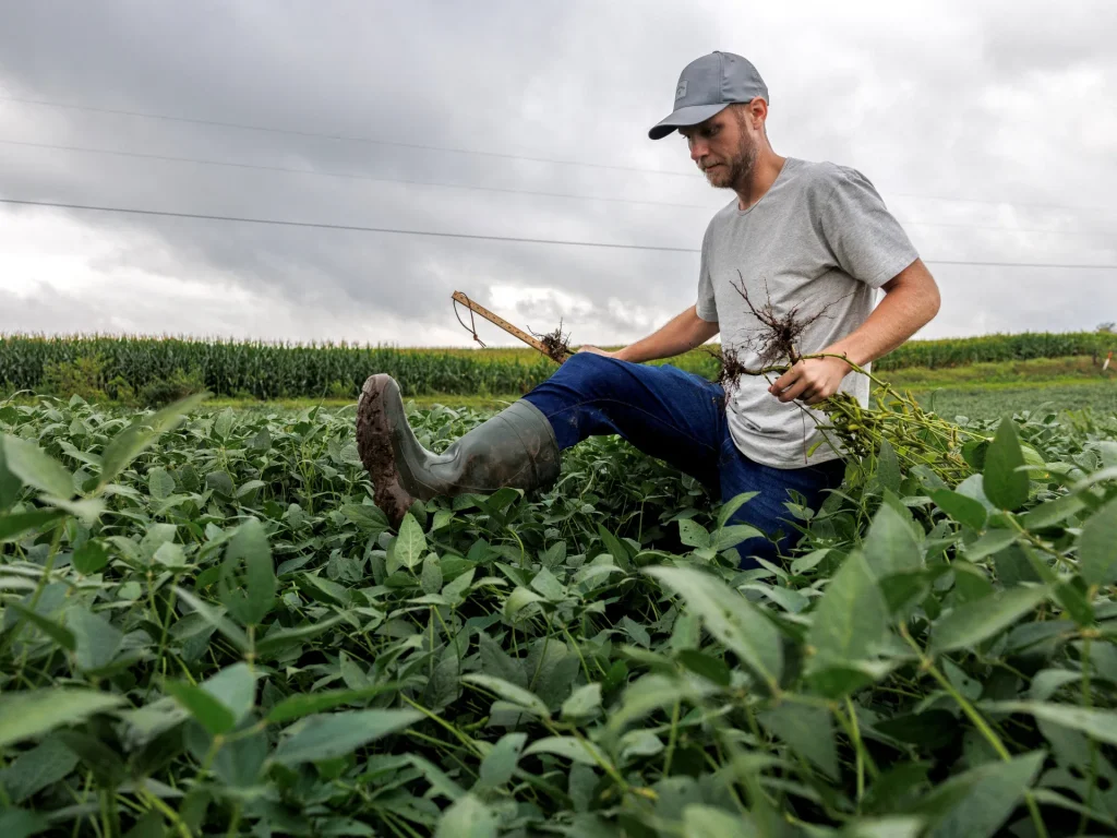 Trump annuncia un pacchetto da 12 miliardi di dollari per aiutare gli agricoltori statunitensi colpiti dalle sue tariffe