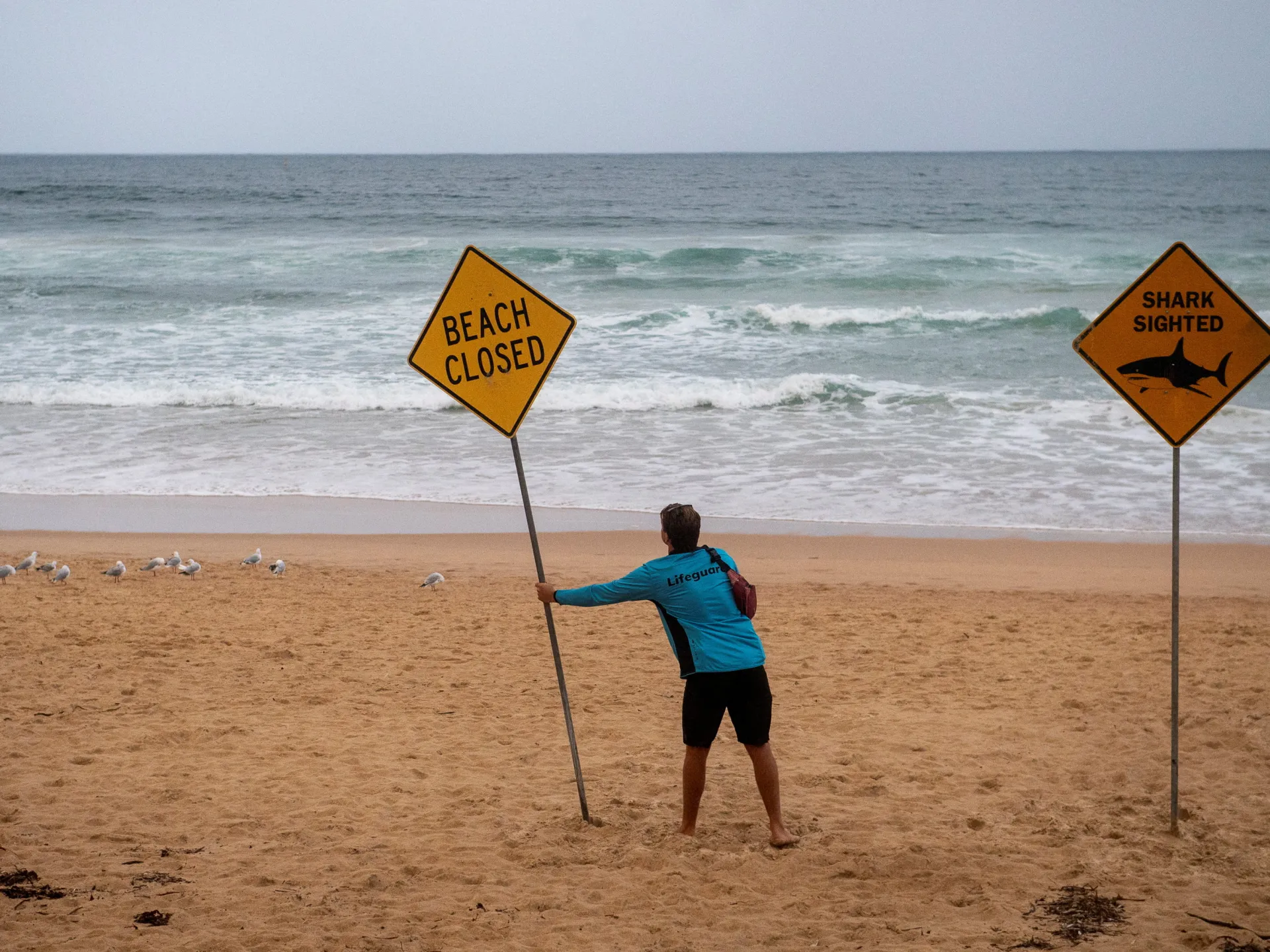 L’Australia chiude dozzine di spiagge della costa orientale dopo gli attacchi di squali