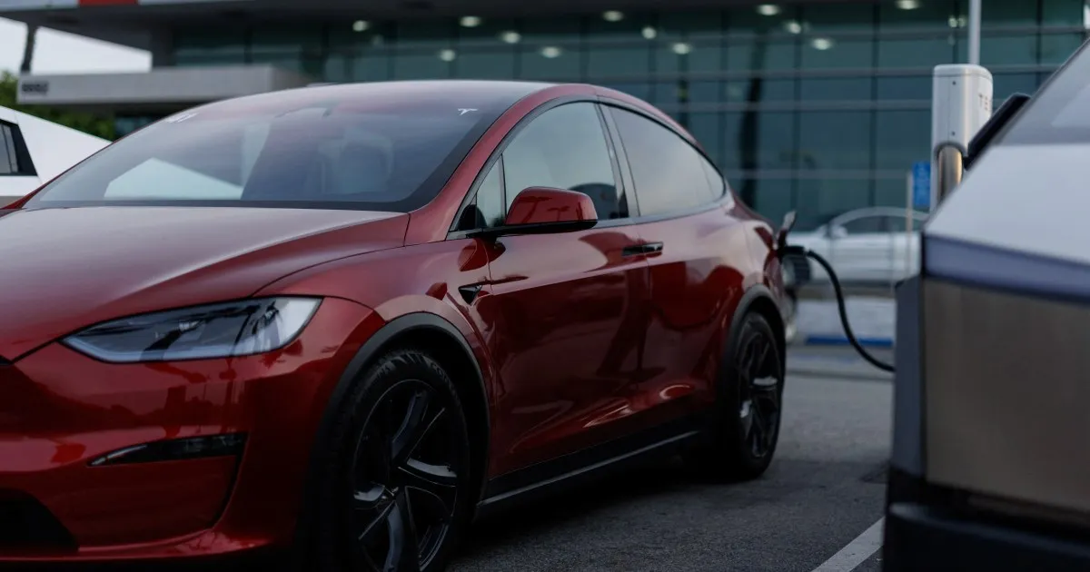 La Tesla di Elon Musk registra il primo calo annuo delle entrate