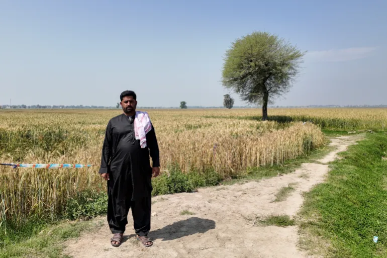 Causa climatica degli agricoltori del Sindh