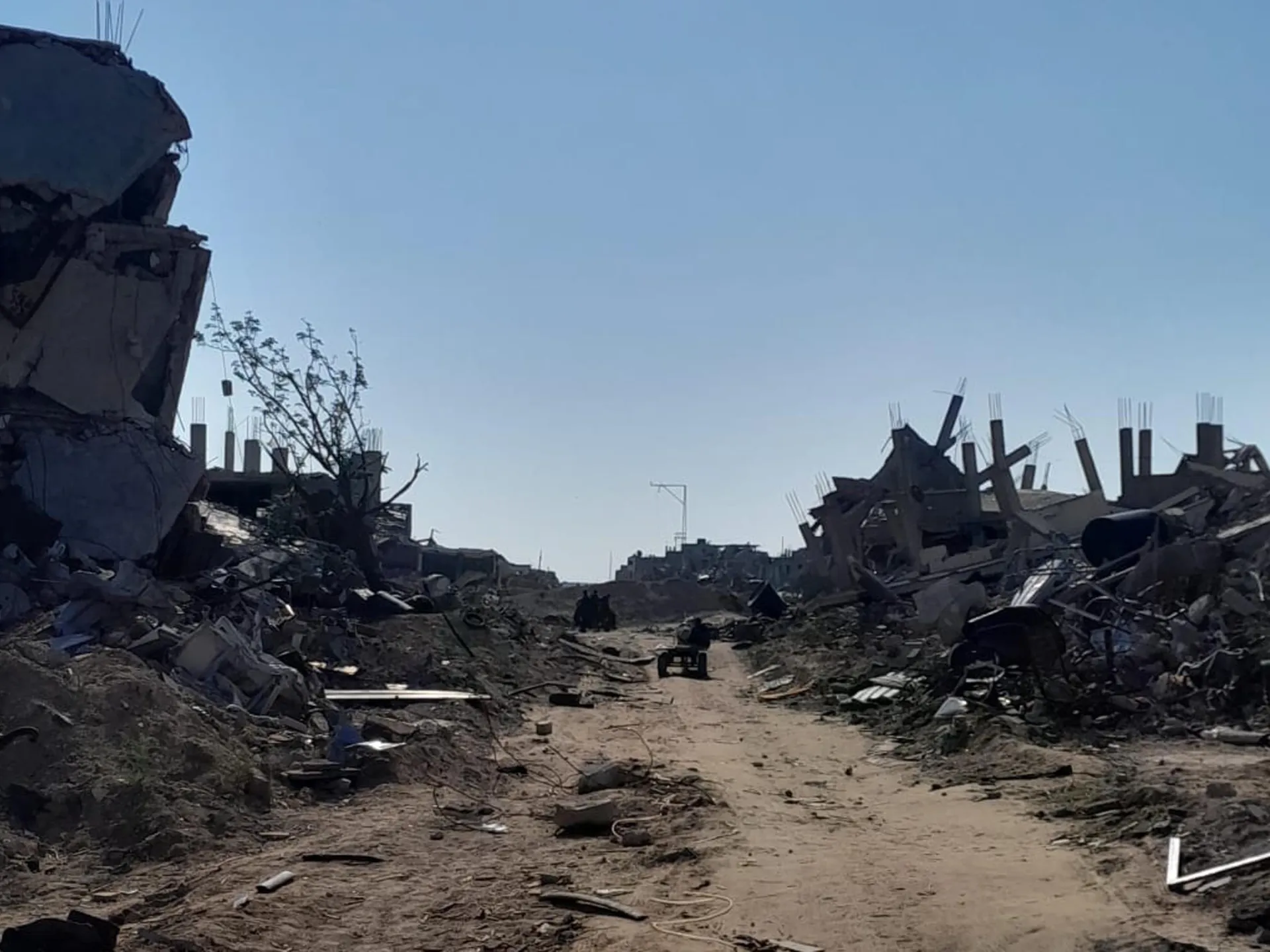 Verde e Giallo: Due linee che mi separano dalla mia terra