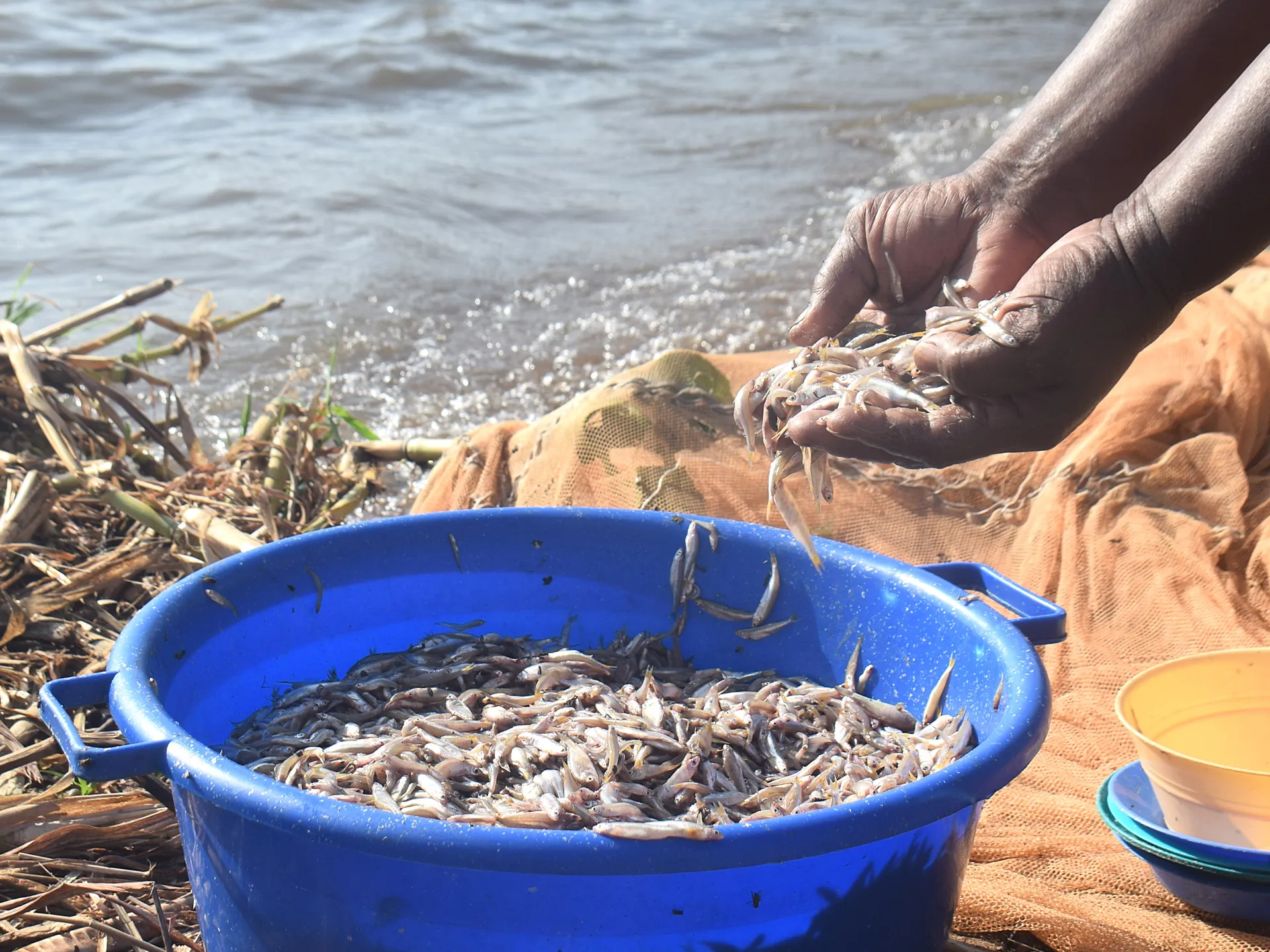 Le donne keniane sfidano i tabù della pesca mentre il cambiamento climatico minaccia il Lago Vittoria