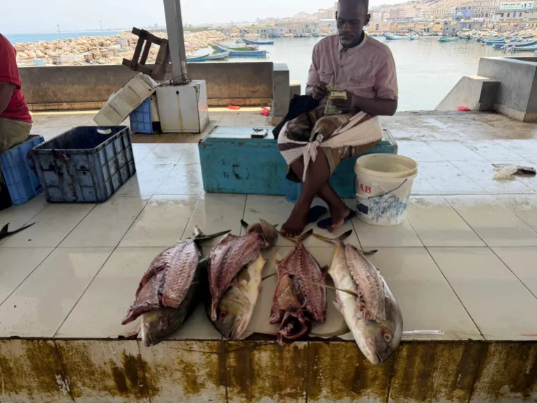 Un venditore di pesce conta i soldi al mercato del pesce di Mukalla, dove si prevede che i prezzi subiranno pressioni poiché i pescatori affermano che stanno spendendo di più in carburante per le battute di pesca. 
